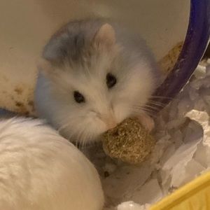 Meet your Posher, Erika